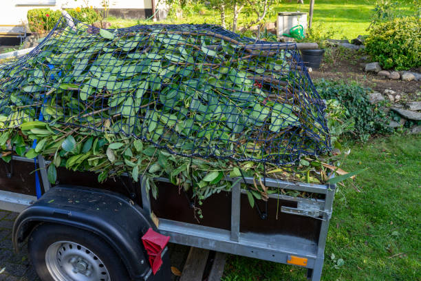 Best Construction Debris Removal  in Carbon Cliff, IL